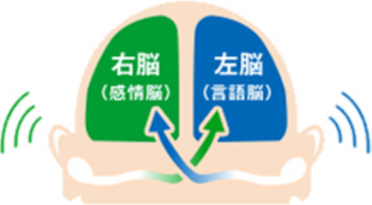 図｜右脳左脳